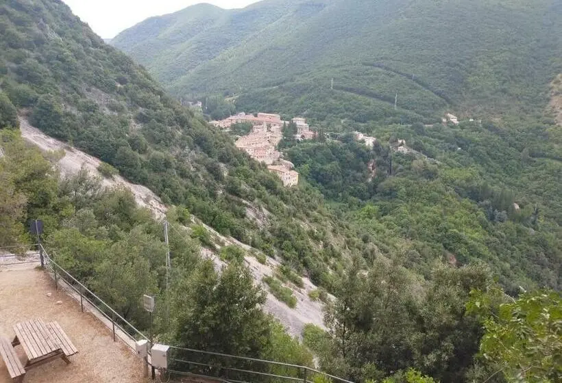اتاق استاندارد, Traivicolidifoligno