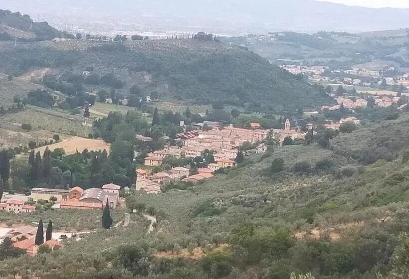 اتاق استاندارد, Traivicolidifoligno