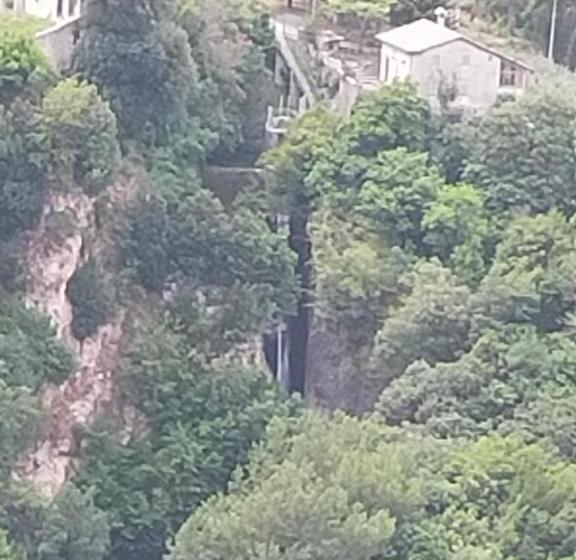 חדר סטנדרט, Traivicolidifoligno