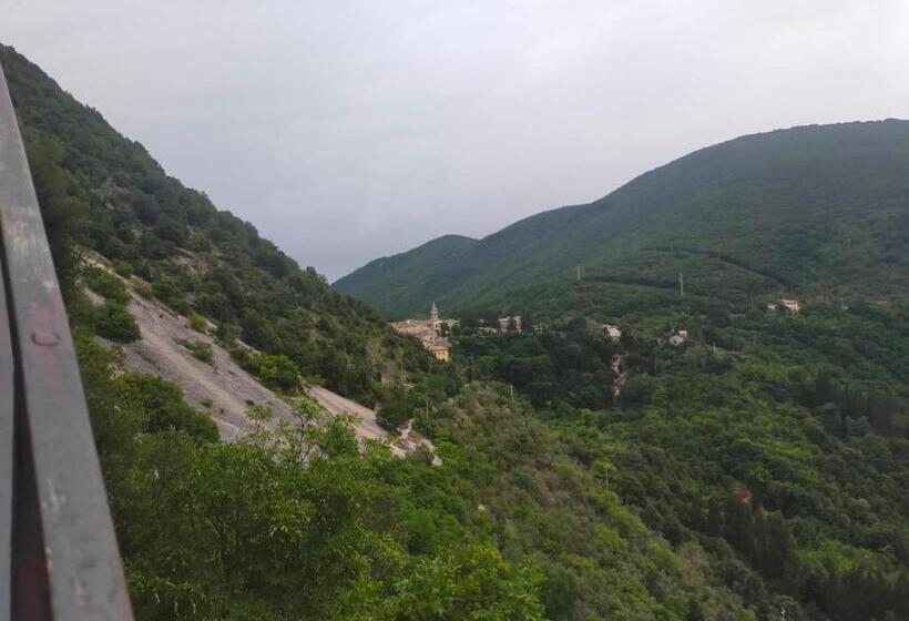 스탠다드 룸, Traivicolidifoligno