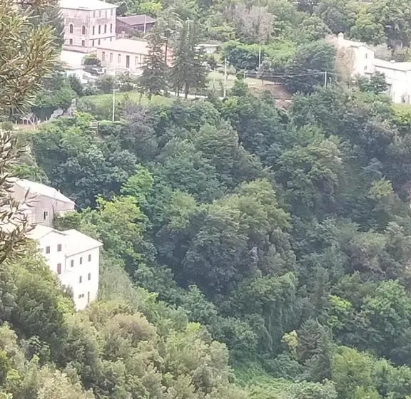 اتاق استاندارد, Traivicolidifoligno