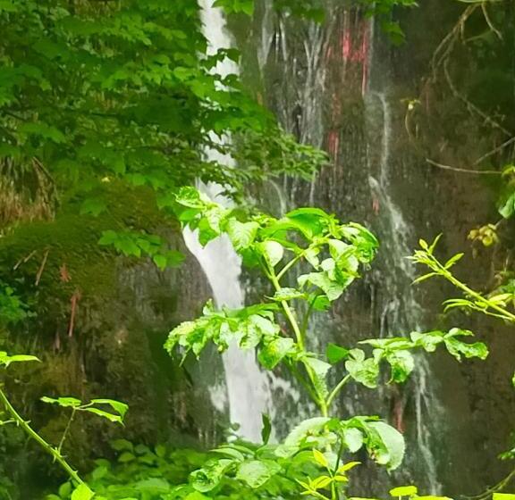 חדר סטנדרט, Traivicolidifoligno