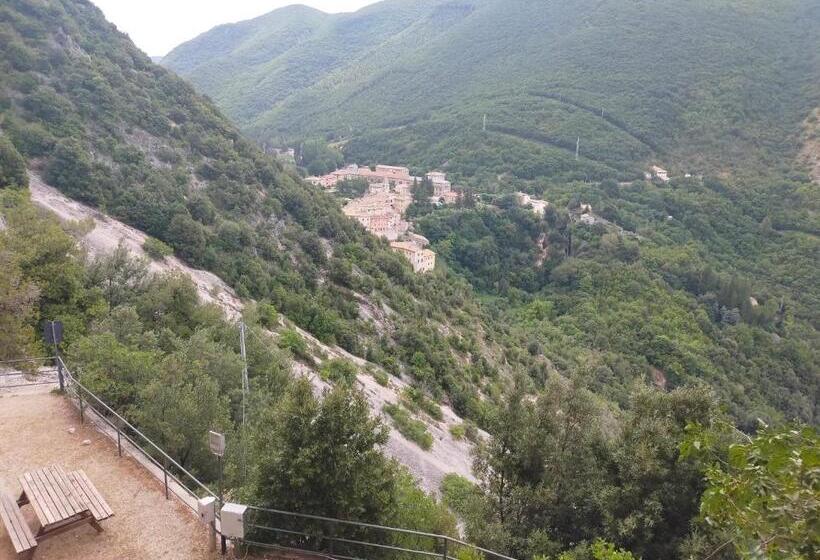 חדר בסיסי, Traivicolidifoligno