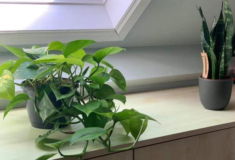 Quarto Deluxe, Viktor And Stella Suite By The Minnewater