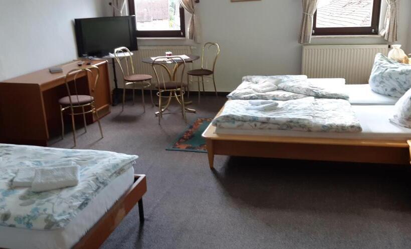 スタンダードルーム, Pension Hirsch/schwan