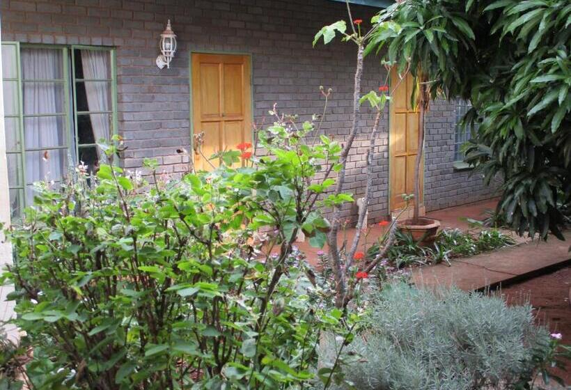 Номер Стандарт, Lutea Guest House