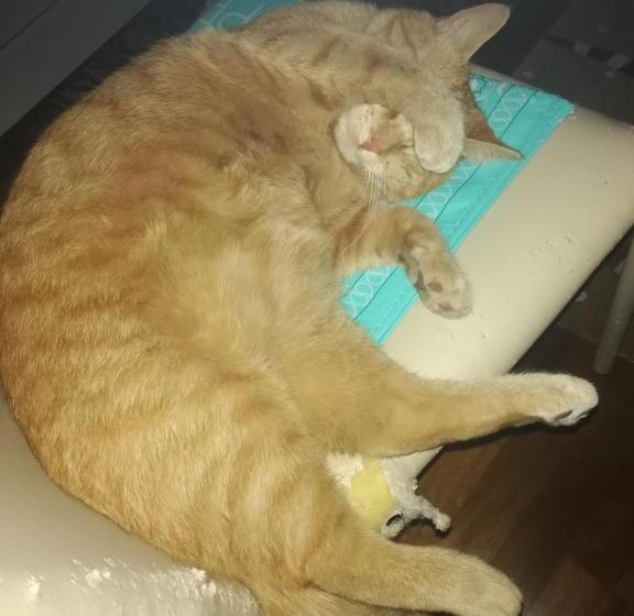 Chambre Deluxe, B&b Chez Elisabeth