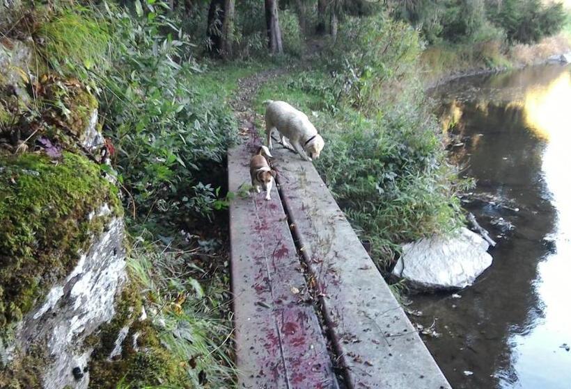 스탠다드 스튜디오, Le Courtil Mezzanine