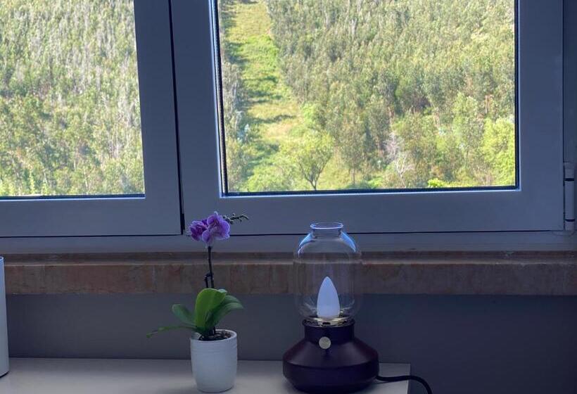 プールビュースタンダードルーム, Quinta Janelas Do Vale