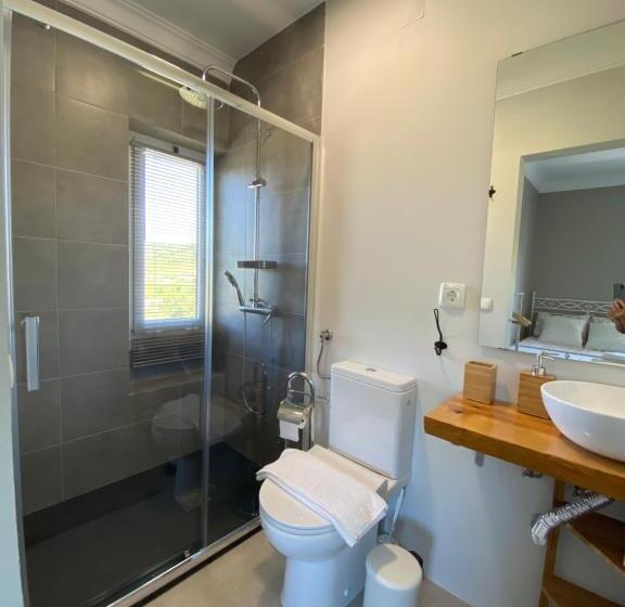 プールビュースタンダードルーム, Quinta Janelas Do Vale