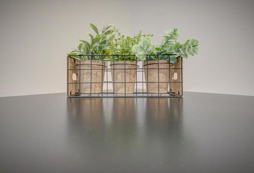 סטודיו דלוקס, Dusky Motels