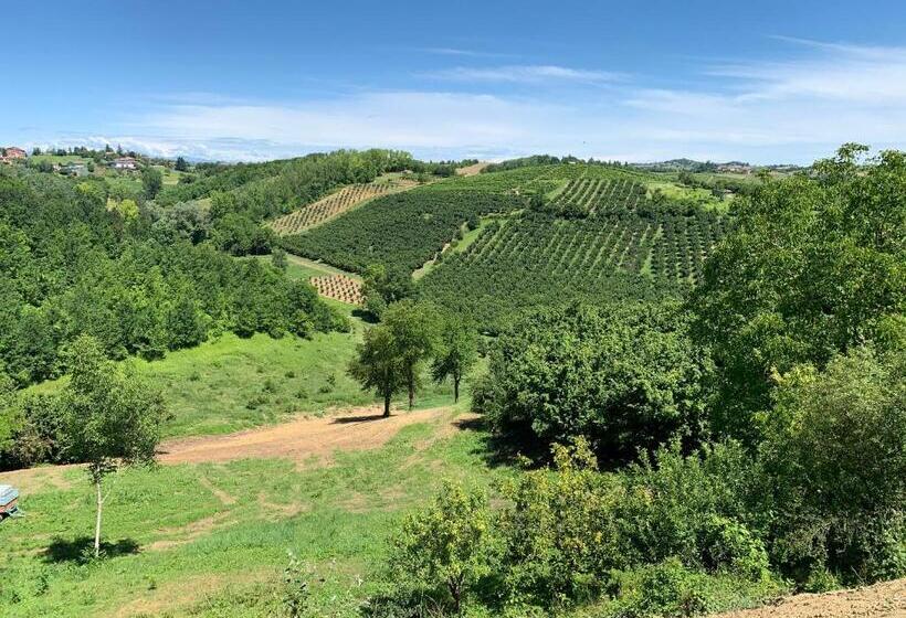 חדר סטנדרט, Coppo 1829