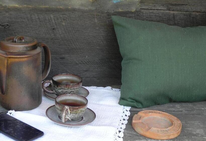 غرفة قياسية, Iedera Casa De Familii 2