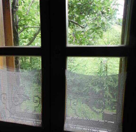 غرفة قياسية, Iedera Casa De Familii 2