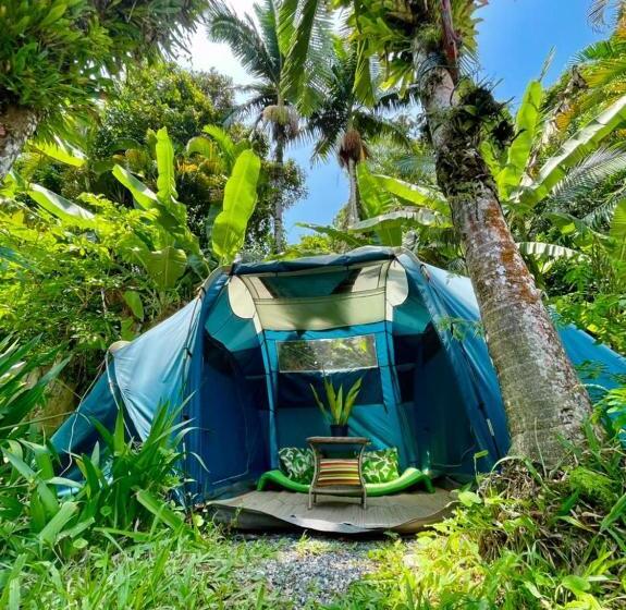 بنگله خانوادگی, Hostel Trópico De Capricórnio   Tenório