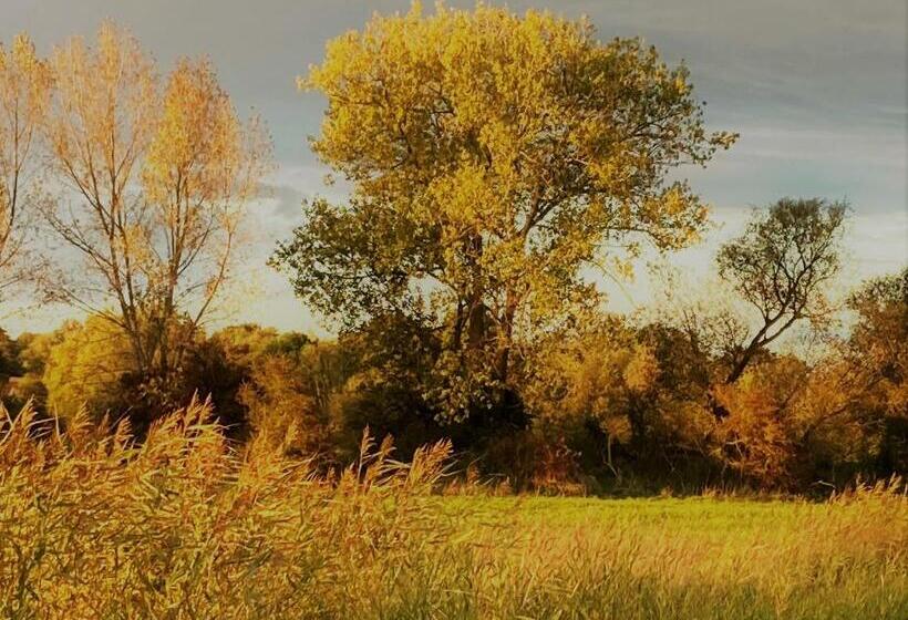 디럭스 룸, Auszeit Am Haffufer