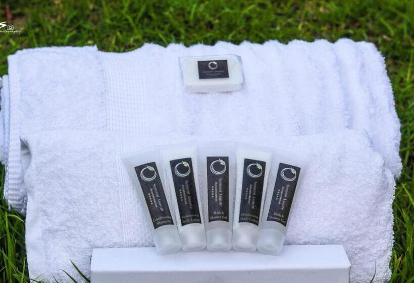 Номер Стандарт, Semeni Asante Guesthouse