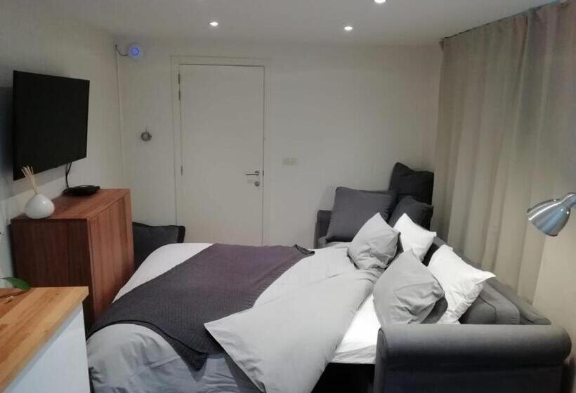 Standaard Studio, Super Central In Brussels