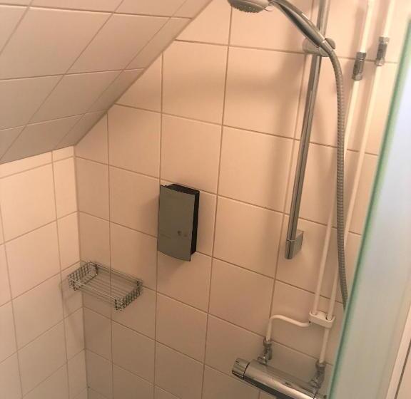 اتاق استاندارد با سرویس بهداشتی مشترک, Akademihotellet