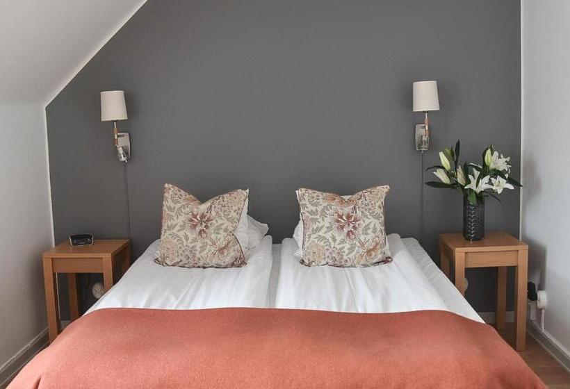 اتاق استاندارد با سرویس بهداشتی مشترک, Akademihotellet