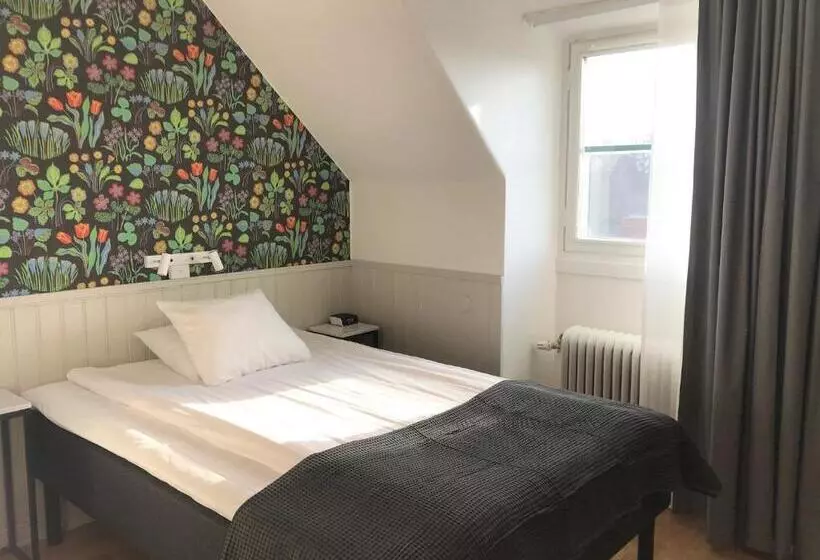 Deluxe Yhden Hengen Huone, Akademihotellet