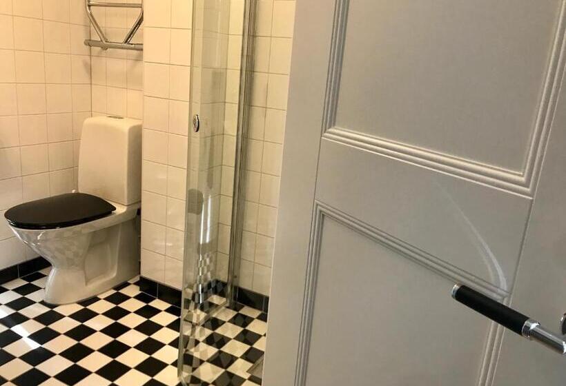 اتاق لوکس یک تخته, Akademihotellet