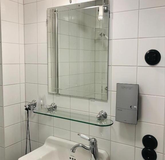 اتاق لوکس یک تخته, Akademihotellet