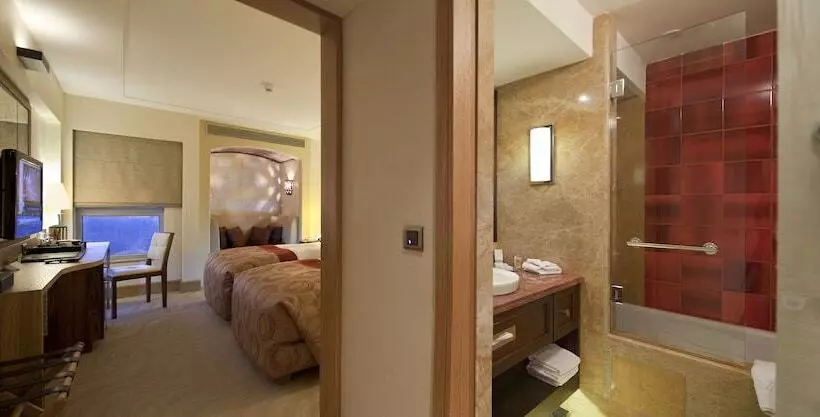 スタンダードルーム, Doubletree By Hilton  Avanos  Cappadocia