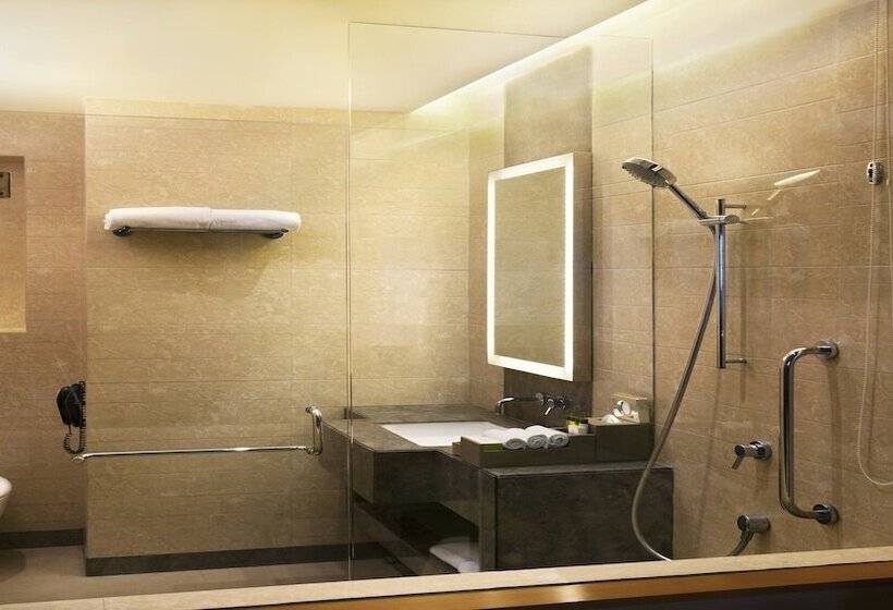 اتاق استاندارد با تخت دوبل, Holiday Inn New Delhi Mayur Vihar Noida, An Ihg