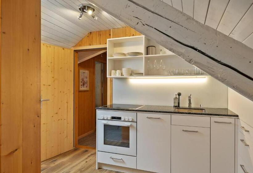 家庭间, Krone By B Smart