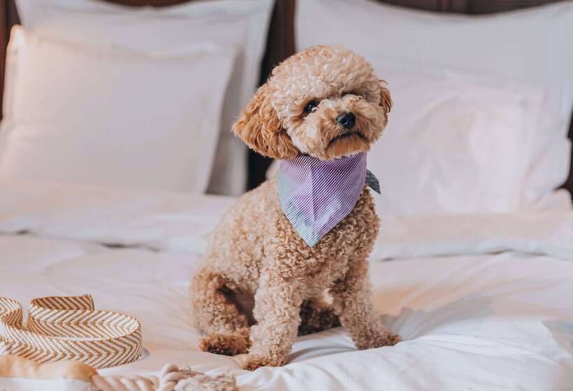 חדר סטנדרט, Story Hotel Riddargatan, Part Of Jdv By Hyatt