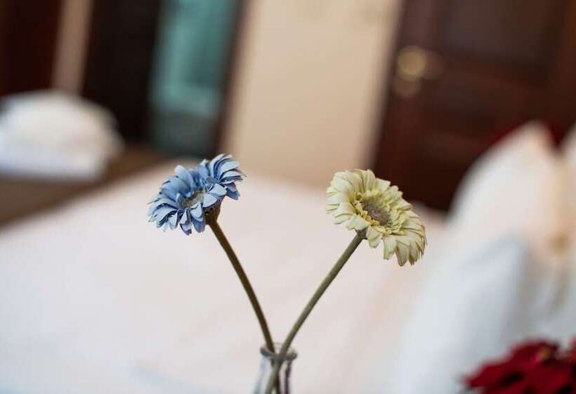 スタンダードトリプルルーム, Sultanahmet Cesme