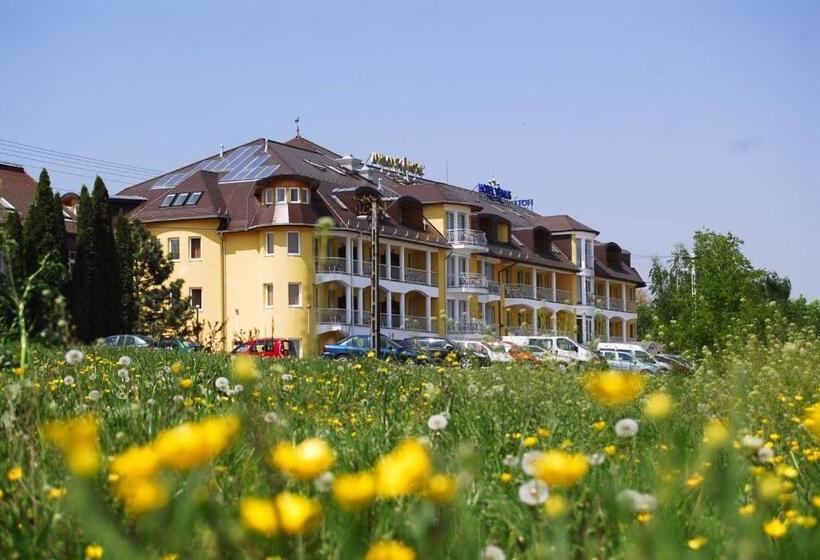 标准单人间, Venus