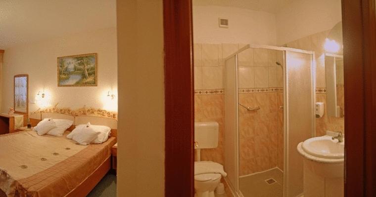 标准单人间, Venus