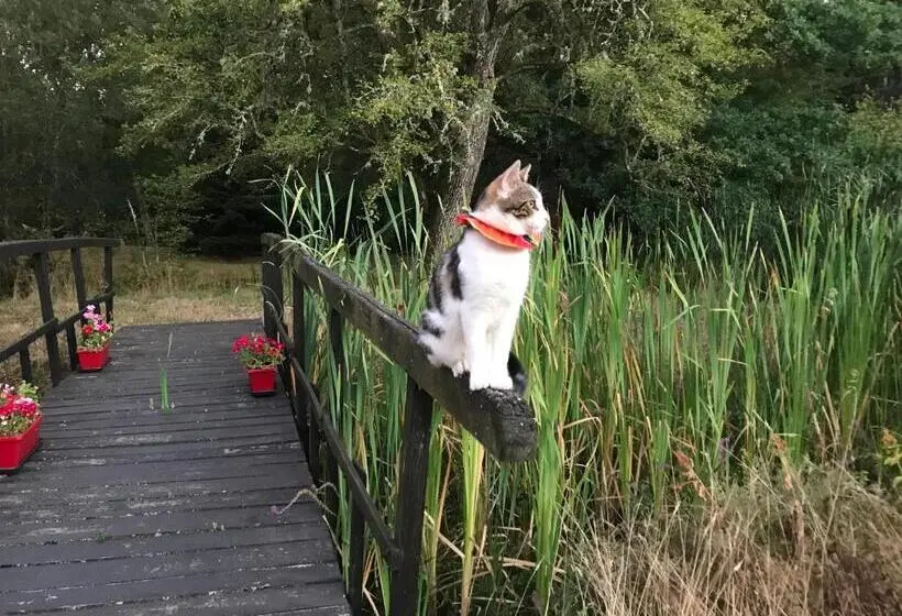 ２ベッドルームハウス, Ferme Boisquillon