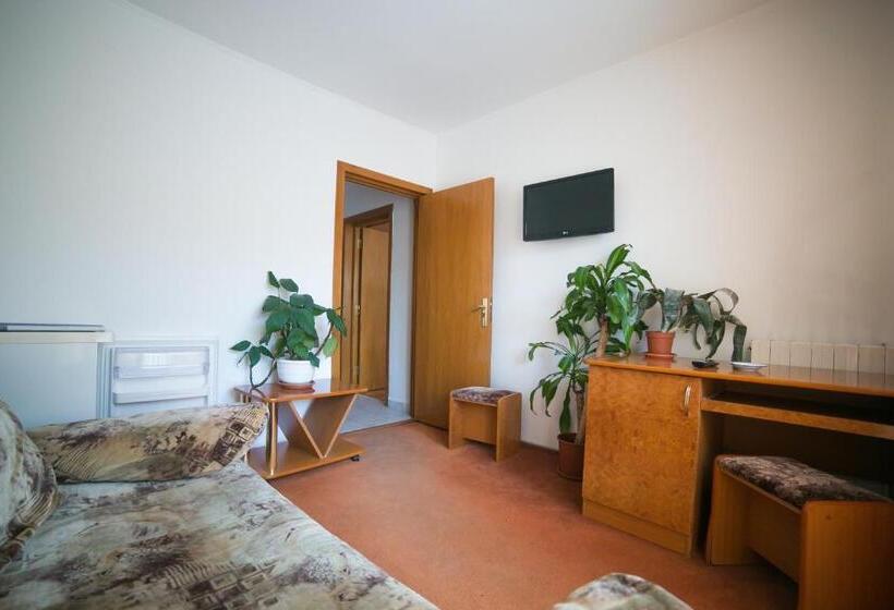 شقة غرفة نوم واحدة مزودة بشُرفة, Alexandros Busteni