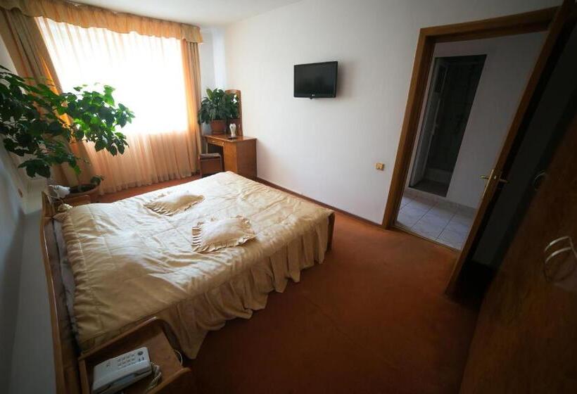 شقة غرفة نوم واحدة مزودة بشُرفة, Alexandros Busteni