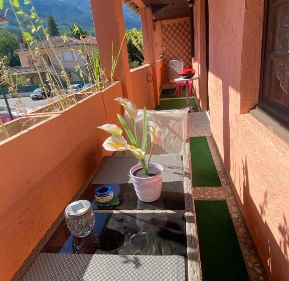 家庭间, La Cigale