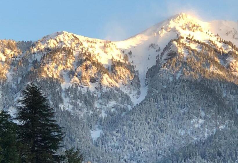 חדר סטנדרט עם טרסה, B And B Nonna Rosa Vista Lagorai