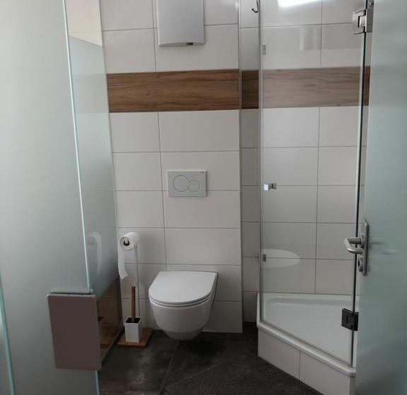 غرفة قياسية, Fischerhof