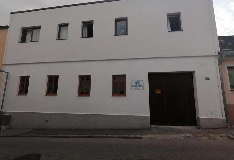 חדר דלוקס, Catalleya Haus