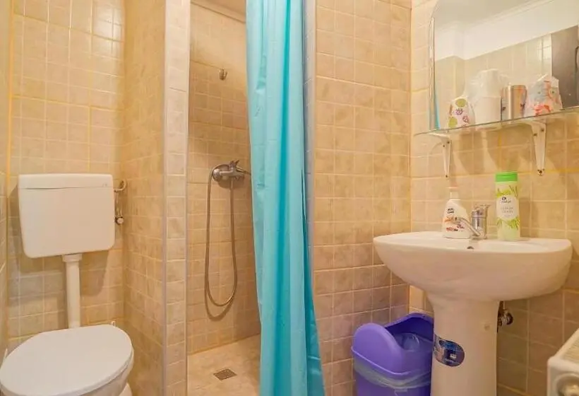 バルコニー付きスタンダードルーム, Vila Muntii Bucegi & Spa