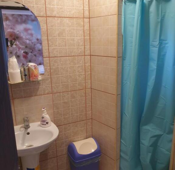 اتاق خانوادگی, Vila Muntii Bucegi & Spa