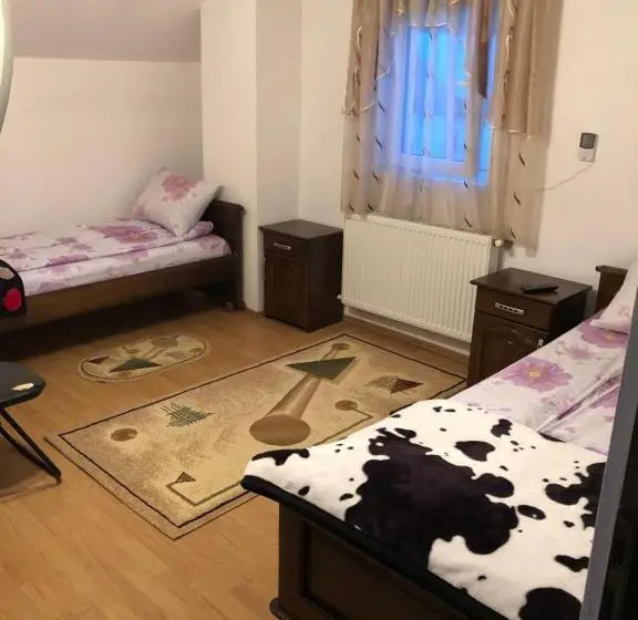 اتاق لوکس, Pensiunea Morosanu
