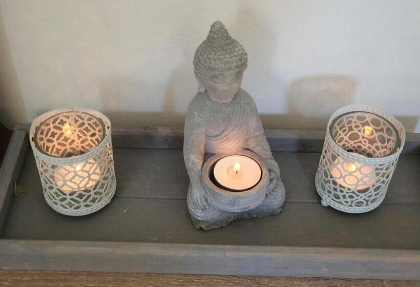 スタンダードルーム, De Vliegende Vlinder