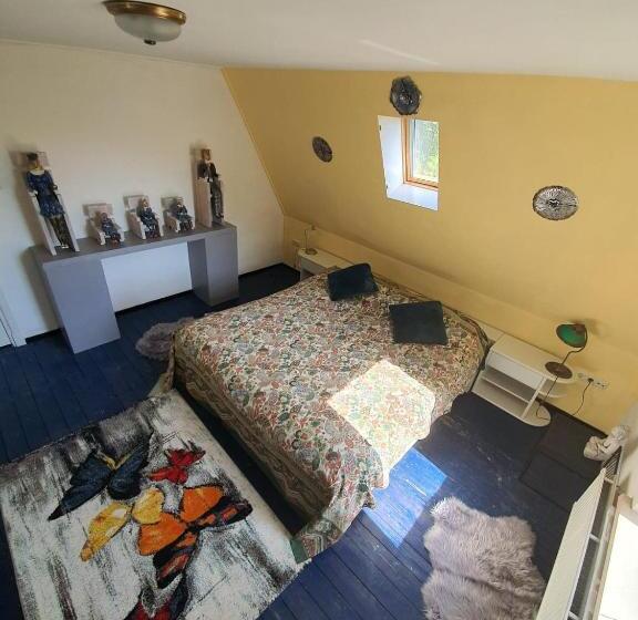 スタンダードルーム, De Vliegende Vlinder