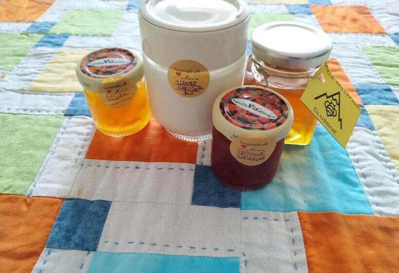 חדר סטנדרט נוף להרים, Mountain Holidays B&b