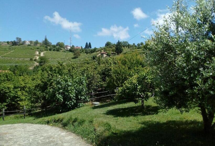 庭の見える1ベッドルームアパートメント, Cà Tinola