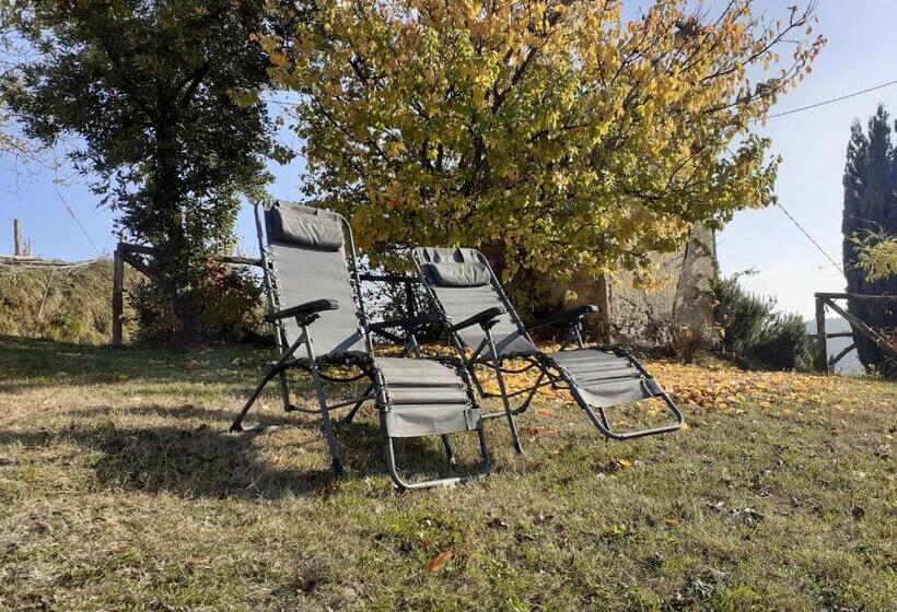 庭の見える1ベッドルームアパートメント, Cà Tinola