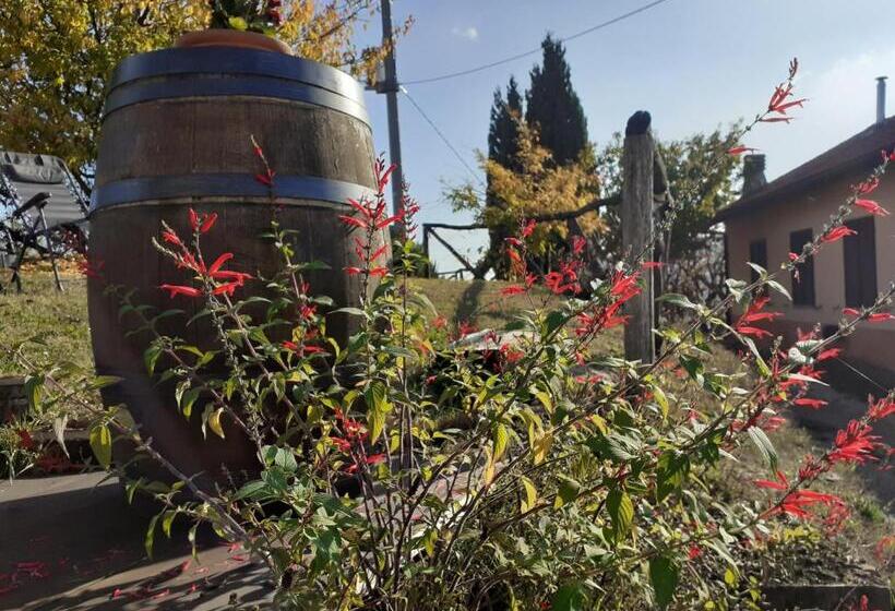 庭の見える1ベッドルームアパートメント, Cà Tinola